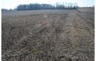Property photo 37 - East Allen County - 55 Acre Land Auction